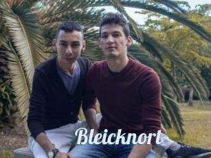 Bleicknort