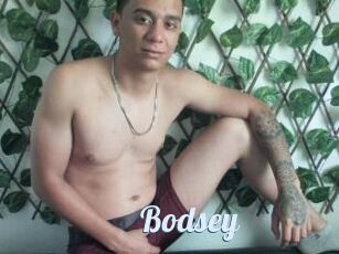 Bodsey