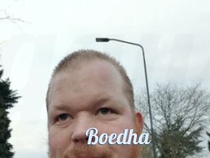 Boedha