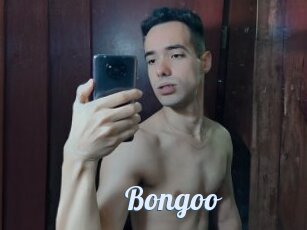 Bongoo