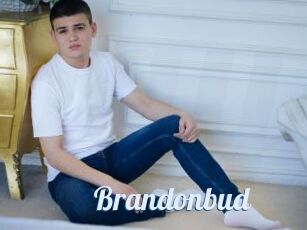 Brandonbud