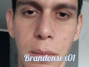 Brandonsex01