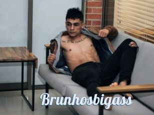 Brunhosbigass