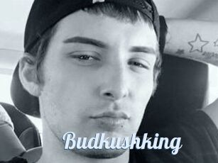 Budkushking
