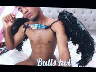 Bulls_hot