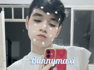 Bunnymaxi