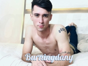 Burningdany