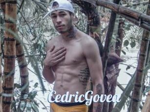 CedricGovea