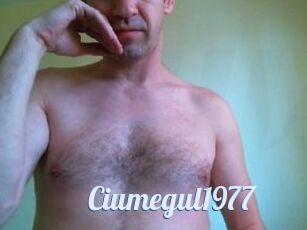 Ciumegul1977
