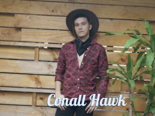 Conall_Hawk