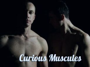 Curious_Muscules