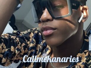 Callmekanaries