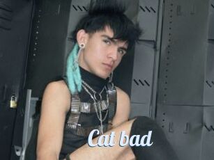 Cat_bad