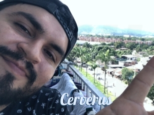 Cerverus