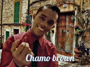 Chamo_brown