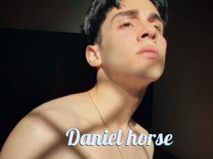 Daniel_horse