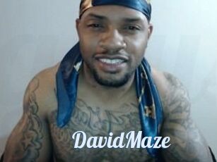 David_Maze