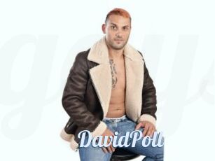 DavidPoll