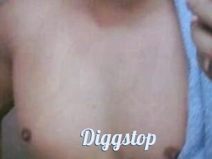 Diggstop