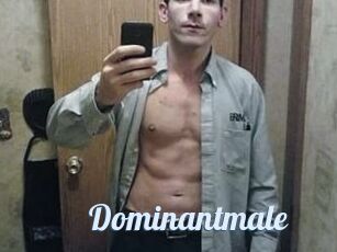 Dominantmale