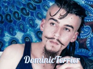 DominicTerrier