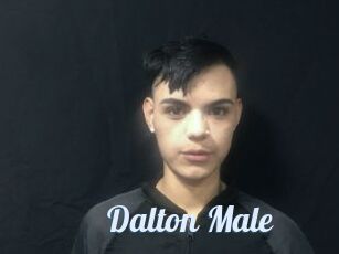 Dalton_Male