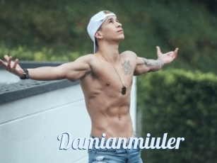 Damianmiuler