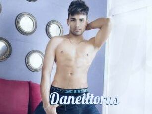 Daneil_torus