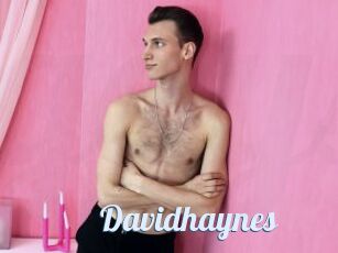 Davidhaynes