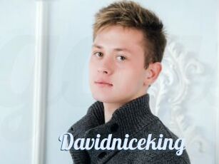 Davidniceking