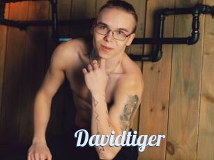 Davidtiger