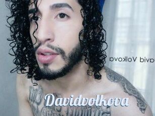 Davidvolkova