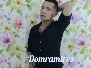 Domramires