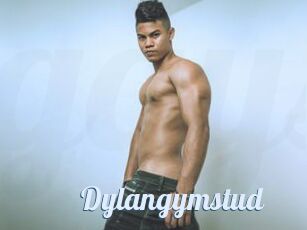 Dylangymstud