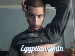 EgyptianAmin