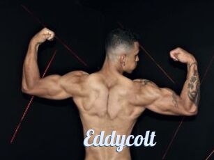 Eddycolt