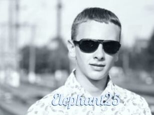 Elephant25