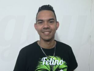 Felino