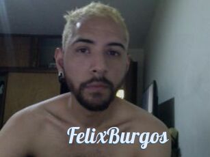 FelixBurgos