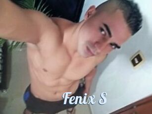 Fenix_S