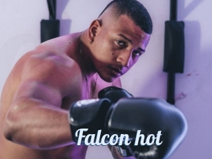 Falcon_hot