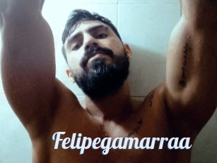 Felipegamarraa