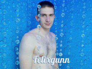 Felixgunn