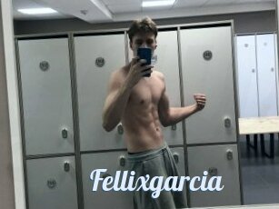 Fellixgarcia
