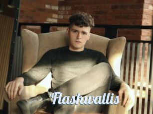 Flashwallis