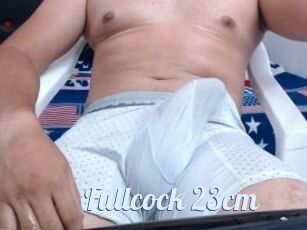 Fullcock_23cm