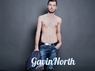 GavinNorth