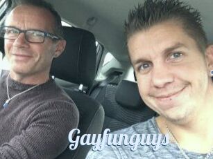 Gayfunguys