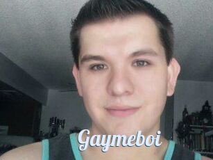 Gaymeboi