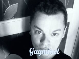 Gayminet